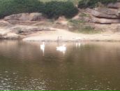 Діма Вараніцький фотография #37 (источник - https://vk.com/id99655277)