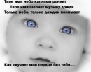 Квасик _____ фотография #1