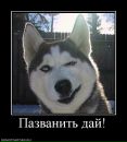 Філя Олег фотография #10 (источник - https://vk.com/id76099426)