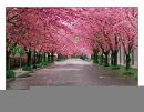 Фотография Виноградова-Макридиса Инка-Алексия