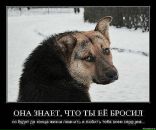 Софья Артюх фотография #24 (источник - https://vk.com/id462645)