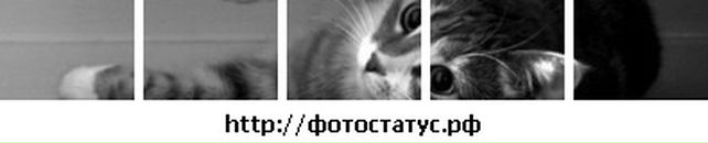 Ксенія Федорій фотография #27 (источник - https://vk.com/id85191373)