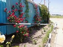 Інна Дiямiнова фотография #12 (источник - https://vk.com/id133464070)