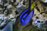 Тарас Віник фотография #50 (источник - https://vk.com/id13298421)