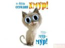 Берта °•..kitty..•° фотография #10 (источник - https://vk.com/id151790863)