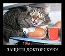 №20, Гдалий Гармиза, 40 лет, Санкт-Петербург №20, Гдалий Гармиза, 40 лет, Санкт-Петербург