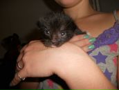 Фотография Доровицыной Кристины