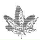 Катя Смірнова фотография #20 (источник - https://vk.com/id57750943)