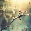 Фотография Анановой Юлии