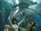 Фотография Анисимовой Екатерины