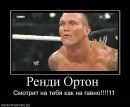 Ярослав Колісніченко фотография #38 (источник - https://vk.com/id62738787)