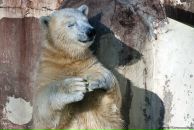 Фотография Варзанова Дмитрия