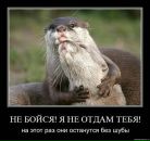 Андрей Лермонтов фотография #36 (источник - https://vk.com/id3879905)