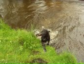 Фруктовий Камікадзе фотография #15 (источник - https://vk.com/id22202963)