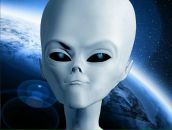 Фотография Павлова Коли