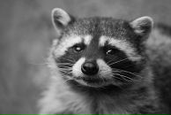 Оксана Недашківська фотография #9 (источник - https://vk.com/id3327672)