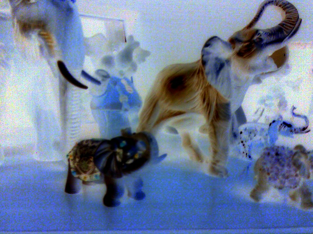 Игорь Викторович фотография #11