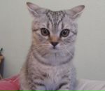 Фотография Ефремовой Анастасии