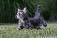 Фотография Заботина Максима