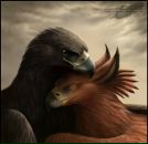 Фотография Сухова Андрея