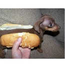 Віталій Коробенко фотография #25 (источник - https://vk.com/id100947832)