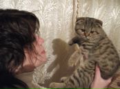 Фотография Долотовой Елены
