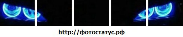 Вася Мераджі фотография #1