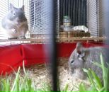 Виктор Логвин фотография #11 (источник - https://vk.com/id1749928)