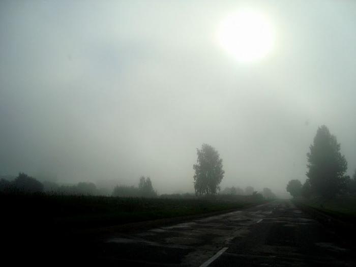 Александр Жунка фотография #13