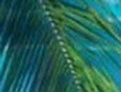 Лілічка Оробець фотография #7 (источник - https://vk.com/id91900423)