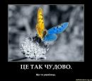 Костя Іващук фотография #9 (источник - https://vk.com/id199575704)