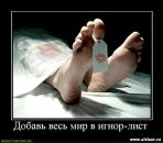 Фотография Кашинцева Александра