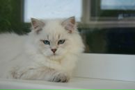 Фотография Кижайкиной Екатерины