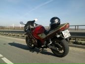 Фотография Lobanov Sanya