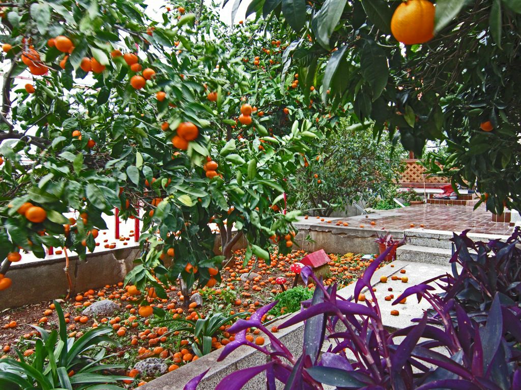 Иван Лыков фотография #15