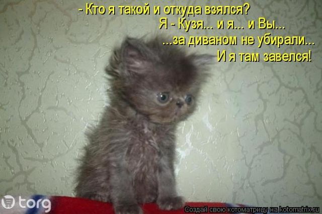 Александр Авдаков фотография #30