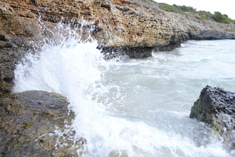 Дмитрий Стефиенко фотография #35