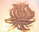 Фотография Дмитриевой Марины