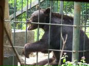 Дініс Боднарюк фотография #1