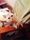 Аленка :3 фотография #12 (источник - https://vk.com/id140282403)