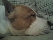 Фотография Ерошевича Олега