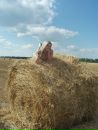 Фотография Виктория Кирьянова