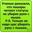 Міша Савляк фотография #29 (источник - https://vk.com/id50275854)
