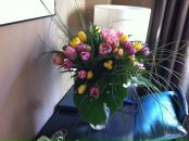 Фотография Лейбман Евгении