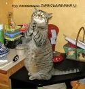 Марія Ткач фотография #2 (источник - https://vk.com/id159424430)