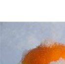 Вікторія Полудняк фотография #42 (источник - https://vk.com/id38373333)