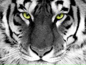 Фотография Губиной Олеси