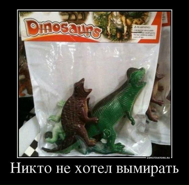 Иван Щеглов фото №48