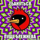 Фотография Албурина Рашида