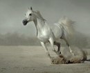 Οлеся Κудрявцева фотография #26 (источник - https://vk.com/id169427654)